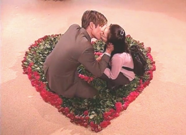 A rózsákra tuja ágakat tettek, hogy ne szúrja őket a rózsa tövis.